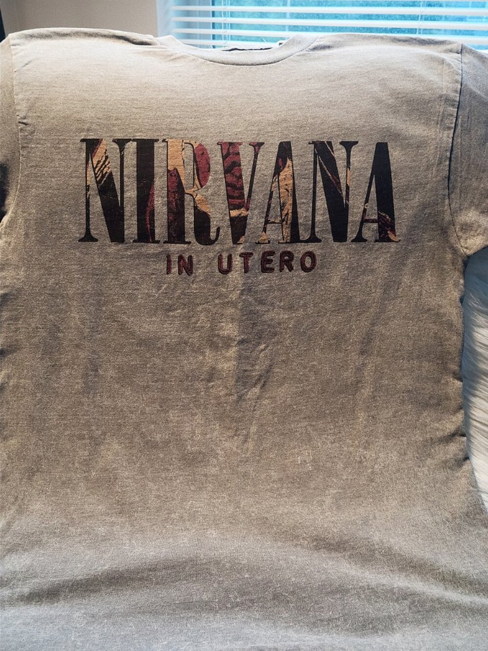 Nirvana In Utero